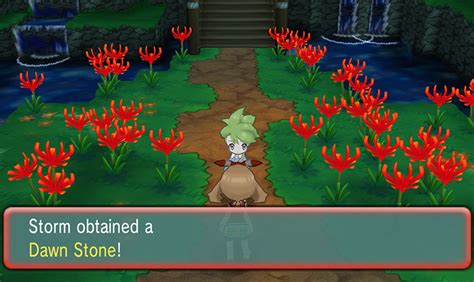 pokemon omega ruby dawn stone|dawn stone location oras.